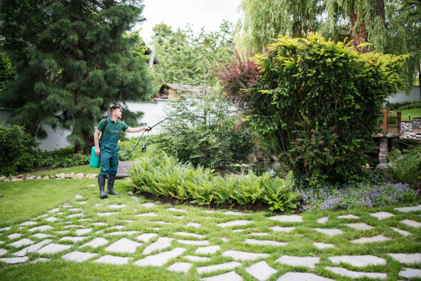 Best Affordable Pest Control Services  in George West, TX