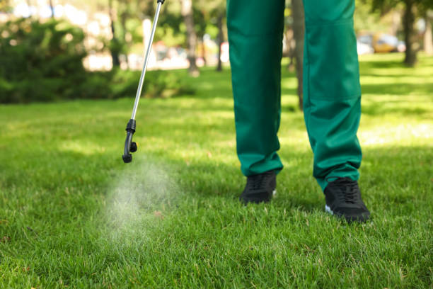 Best Pest Control for Businesses  in George West, TX