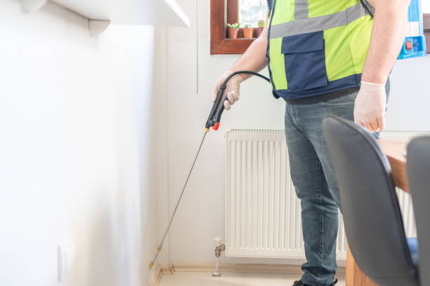 Best Ant Control Services  in George West, TX